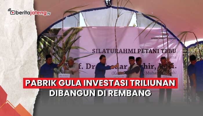 Video Pabrik Gula Investasi Triliunan Dibangun di Rembang