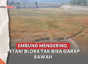 Video Embung Mengering, Petani Blora Tak Bisa Garap Sawah