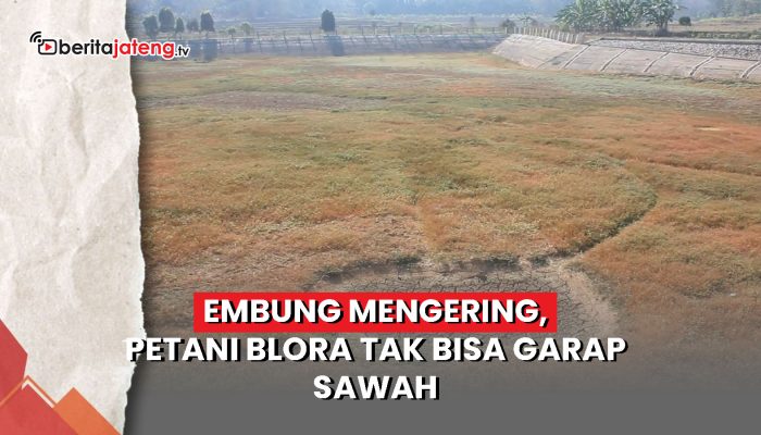 Video Embung Mengering, Petani Blora Tak Bisa Garap Sawah