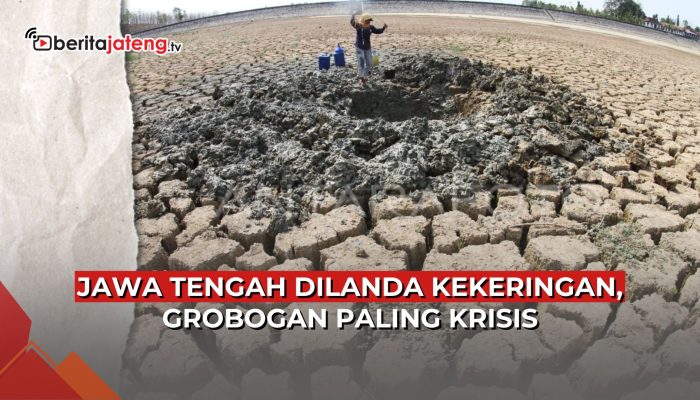 Video Jawa Tengah Dilanda Kekeringan, Grobogan Paling Krisis
