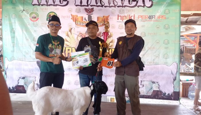 Ratusan Peternak Blora Unjuk Gigi di Kontes Kambing Etawa, Sampai Ditawar Rp40 Juta per Ekor!