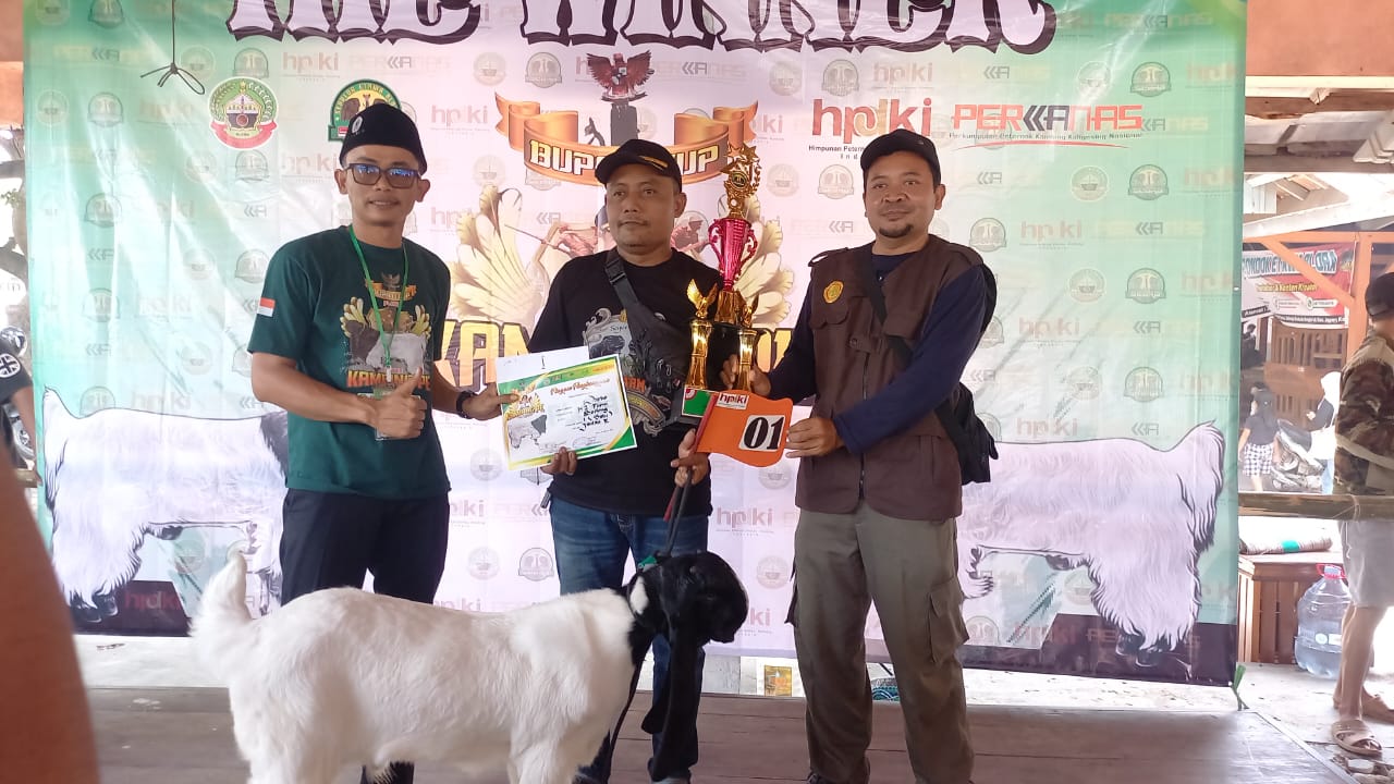 Kontes Kambing Etawa Blora