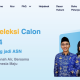 2024 CPNS PPPK Tahap 2 Pengumuman SKD CPNS