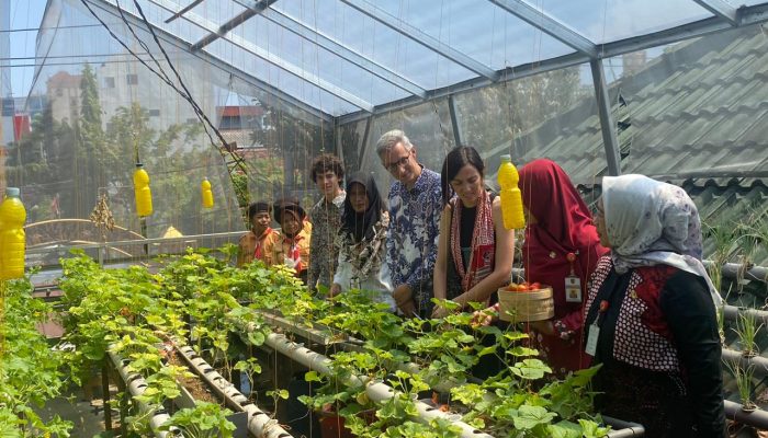 Petik Tomat dan Panen Ikan, Delegasi Pakta Milan Pelajari Ketahanan Pangan Semarang di SDN Pekunden