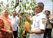 Tingkatkan Produktivitas Pertanian, Sekda Jateng Dukung Petani Milenial Terus Berinovasi