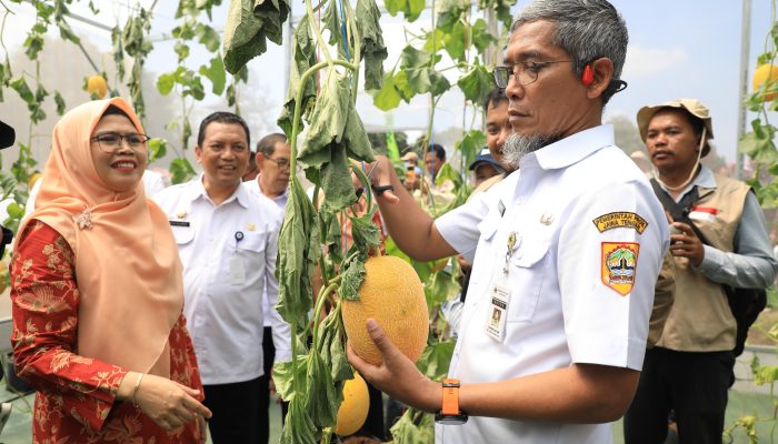 Tingkatkan Produktivitas Pertanian, Sekda Jateng Dukung Petani Milenial Terus Berinovasi