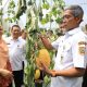 petani milenial