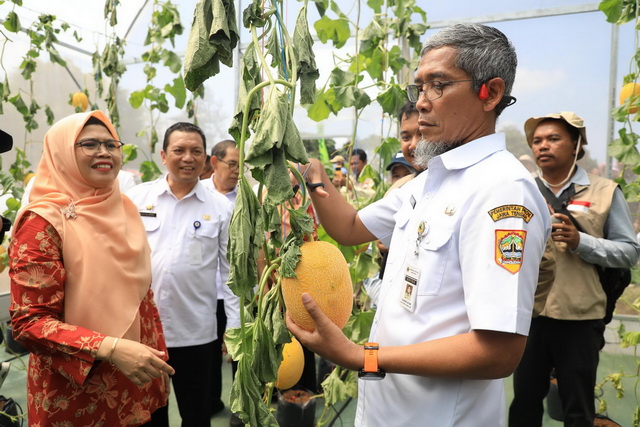 petani milenial