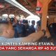 kontes kambing etawa Blora