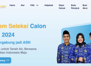 2024 CPNS PPPK Tahap 2 Pengumuman SKD CPNS