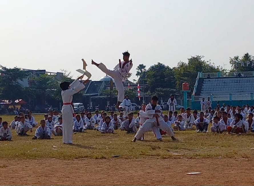 atlet Taekwondo