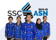 Aturan PPPK | Periode PPPK | SKD SKB | SKD Pengumuman | Seleksi SKD CPNS 2024 | PPPK Tahap 2 | Passing Grade PPPK | SKD CPNS 2023 | Hasil Sanggah | Hasil Jurusan Pendaftaran CPNS 2024 SMA | 2024 PPPK