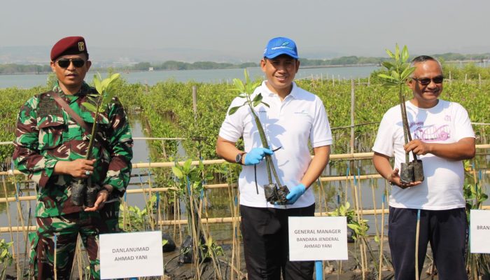 Bandara Ahmad Yani Tanam 6.000 Bibit Mangrove untuk Dukung Green Airport