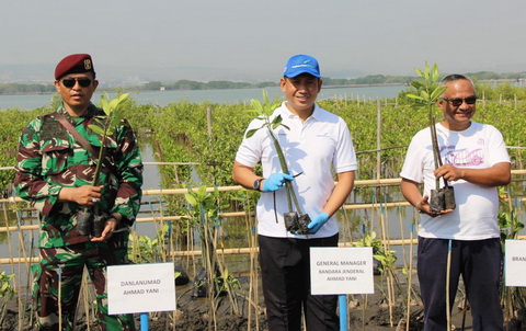 Bandara Ahmad Yani Tanam 6.000 Bibit Mangrove untuk Dukung Green Airport