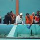 Lobster Air Tawar Mulai Dibudidayakan di Semarang, Mbak Ita: Mudah dan Murah Biayanya