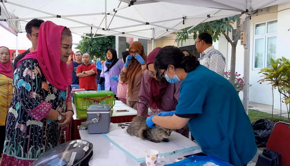 Peringati Hari Rabies Sedunia, Pemkot Gelar Vaksinasi dan Sterilisasi Kucing Anjing Gratis di Semarang