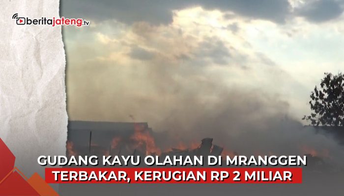 Video Gudang Kayu Mranggen Terbakar, Kerugian Tembus Rp 2 Miliar