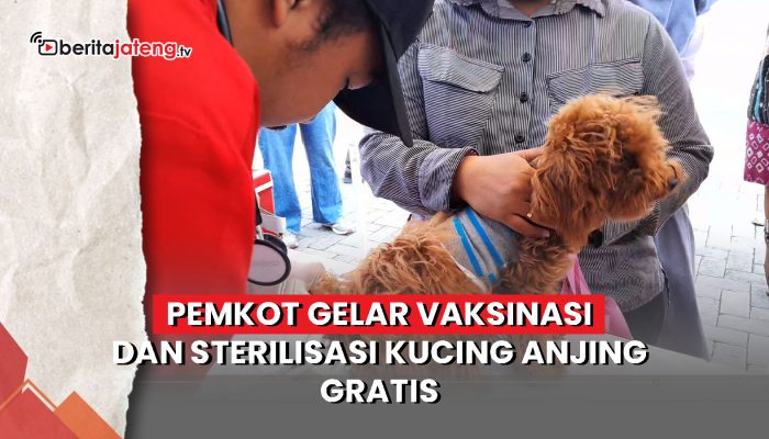 Video Pemkot Semarang Gelar Vaksinasi dan Sterilisasi Gratis untuk Anjing dan Kucing