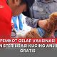 vaksinasi gratis anjing dan kucing