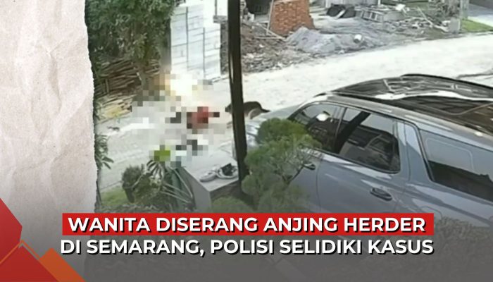Video Wanita Diserang Anjing Herder di Perum Graha Padma Semarang, Polisi Turun Tangan