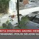 diserang anjing herder