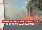 Video Usaha Kayu Kalimantan Terbakar, Warga Panik