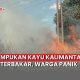 kebakaran kayu Kalimantan Demak