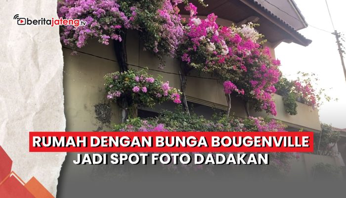 Video Spot Foto Bougenville Semarang Ramai Didatangi