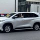 Paus Innova