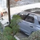 cctv anjing hearder nyerang ibu2