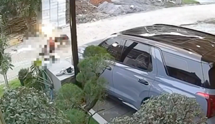 cctv anjing hearder nyerang ibu2