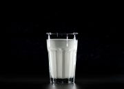 Susu Ikan: Apa Kelebihannya Dibanding Susu Sapi?