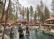 guci forest tegal