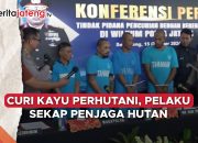 Video Curi Kayu Perhutani, Sekap Penjaga Hutan