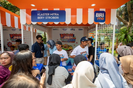 BRILink