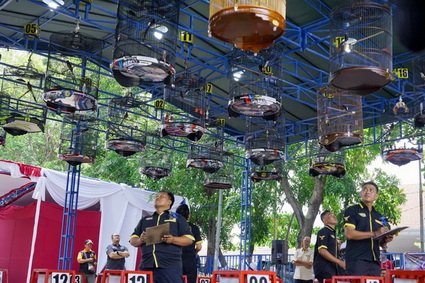 Lomba Burung Berkicau Piala Sepoooor 4 Semarang, Ajang Prestasi dan Pelestarian Fauna