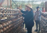 Tinjau Kebun Pilar Svarnaloka, Mbak Ita Ingin Aset Pemkot Semarang Dimaksimalkan