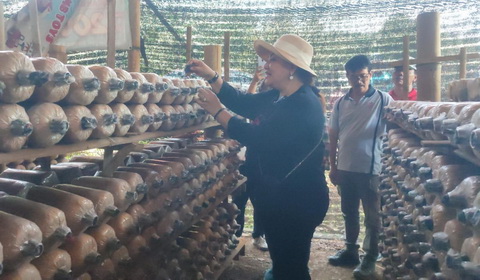 Tinjau Kebun Pilar Svarnaloka, Mbak Ita Ingin Aset Pemkot Semarang Dimaksimalkan