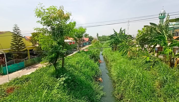 Pemkot Semarang Pastikan Pembebasan Lahan Normalisasi Sungai Plumbon Dimulai Desember 2024