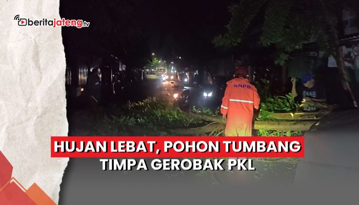 Video Hujan Lebat, Pohon Tumbang Timpa Gerobak PKL