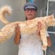Kucing Maine Coon