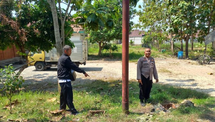 Warga Ngeluh Voltase Sering Turun Rusak Barang Elektronik, PLN ULP Blora Tambah 10 Tiang Listrik