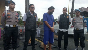 Kasus Pengiriman Puluhan Anjing untuk Konsumsi Terungkap di Banyumas, Polisi Tetapkan 1 Tersangka