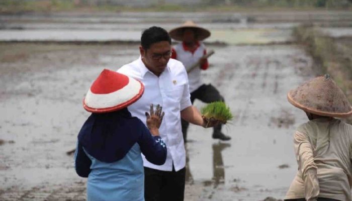 Jaga Ketahanan Pangan Nasional, Wamentan Sudaryono: Akan Dicetak Sawah 3 Juta Hektare
