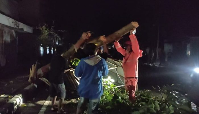 Hujan Lebat dan Angin Kencang di Blora, Sejumlah Pohon Roboh, Satu Gerobak Rusak Parah