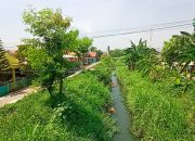 Pemkot Semarang Pastikan Pembebasan Lahan Normalisasi Sungai Plumbon Dimulai Desember 2024
