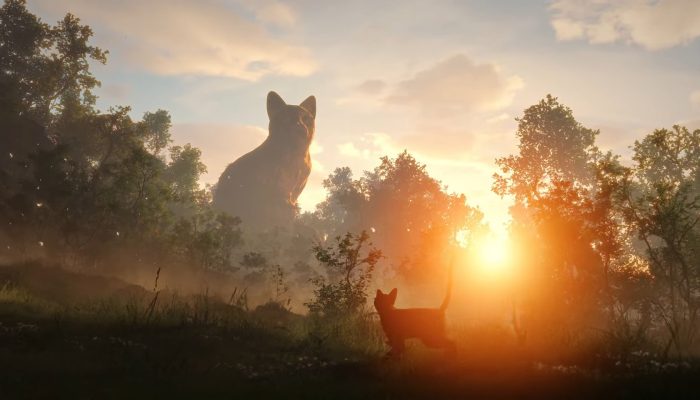 Sinopsis Flow, Animasi Kucing Hitam Tanpa Dialog yang Sukses Tayang di Festival Internasional
