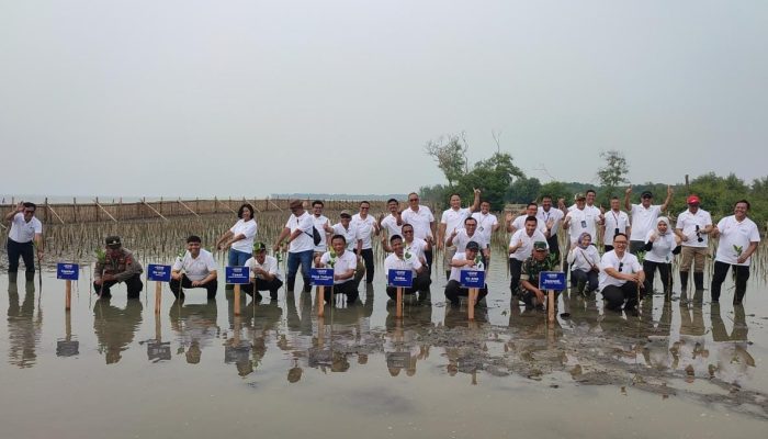 Aksi Restorasi Bumi, Telkom Indonesia Tanam 10 Ribu Mangrove di Pantai Glagah Wangi
