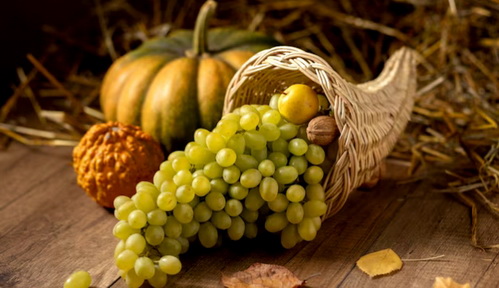 Anggur Muscat