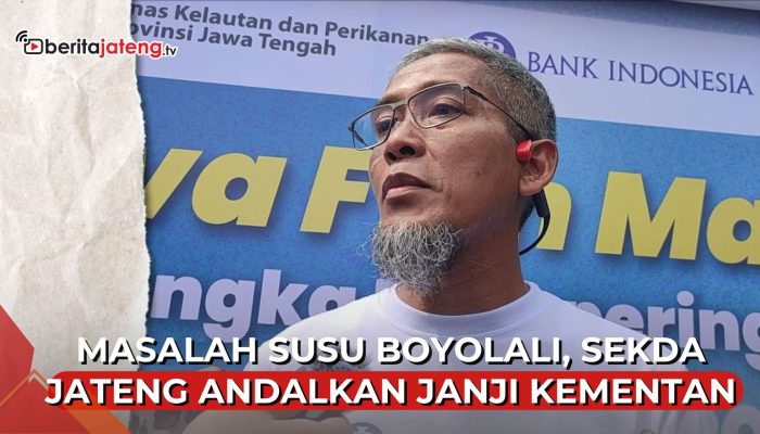 Video Susu Sapi Boyolali Tak Terserap Industri, Sekda Berharap Bisa Masuk Program Makan Bergizi Gratis